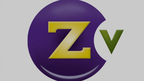 ZeeVee Inc.