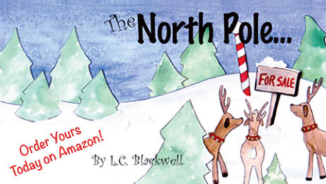 The North Pole…For Sale