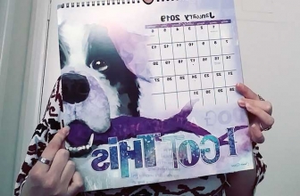 Haley Art and Design Review: Love the World As it Should Be